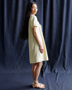 Demure Denim Dress