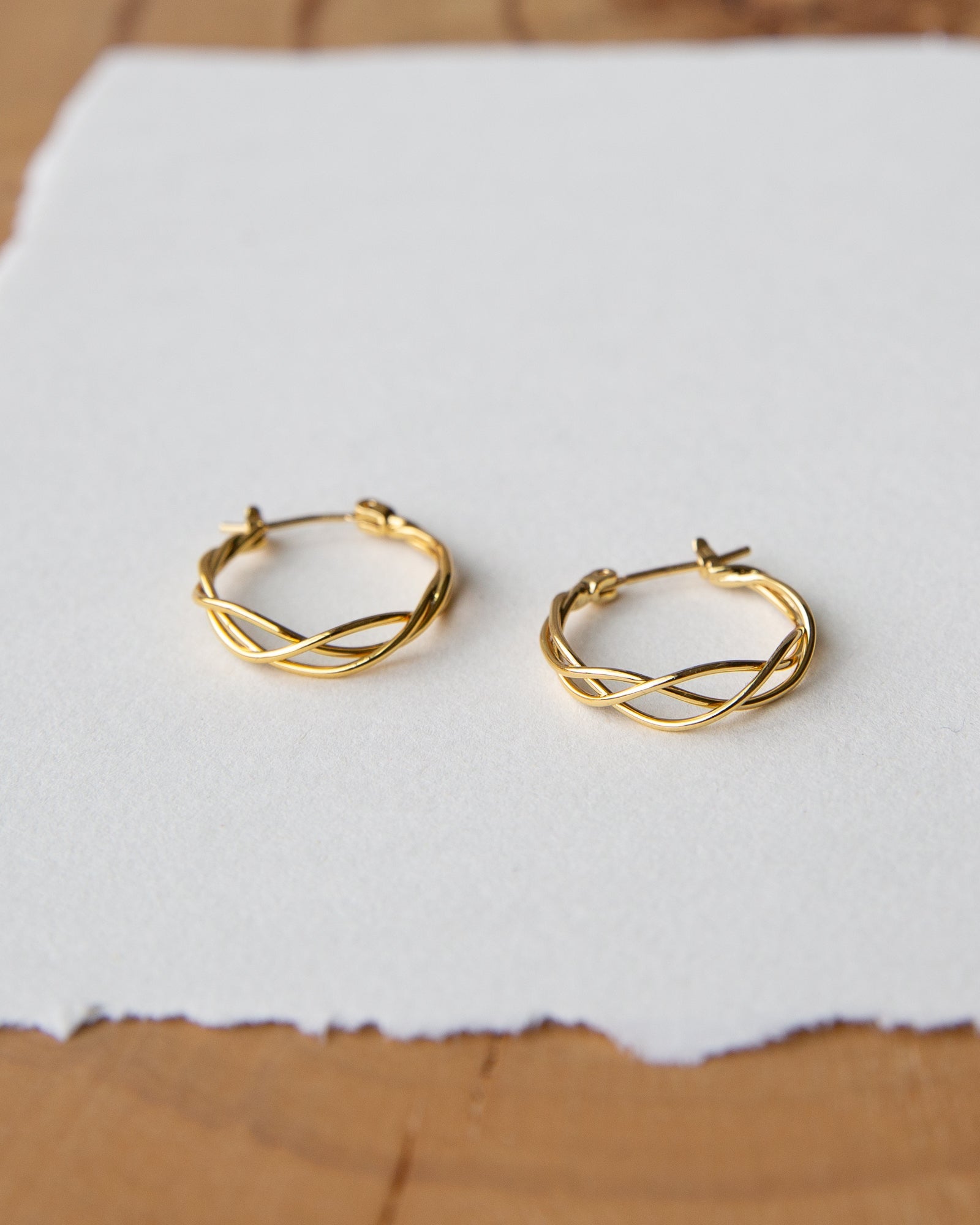 Braided Hoop Earrings Main image