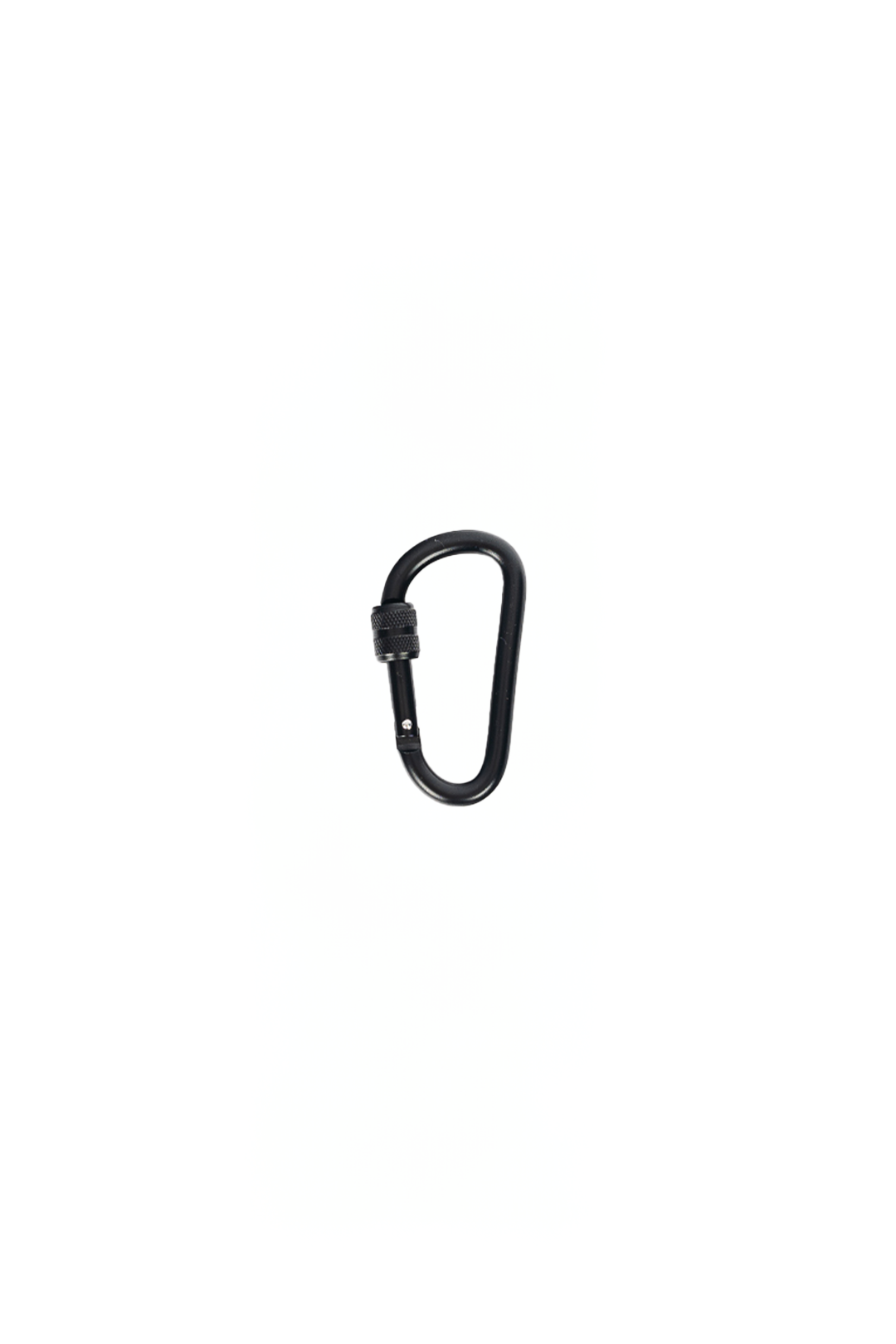 Locking Carabiner Secondary image