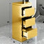 Modern Simple Luxury Gold Silver Black Salon Beauty Barber Trolley With Drawers Salon Trolley Hairdressing Stool Salon Furniture