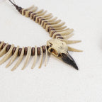 1 piece of vintage Viking crow skull coconut shell necklace - resin animal shaped irregular long teeth, Gothic style jewelry,