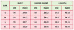 New  Yoga Tank Top Summer Sexy Fitness Yoga  Underwear Women's Sports Bra Push Up Fitness Bra  Running Gym Fitness Tops