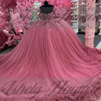 Customized Elegant Pink Quinceanera Dress Ball Gown Beads Applique Corset Pageant Sweet 15 Party Tiered Ruffle Prom Party Dress