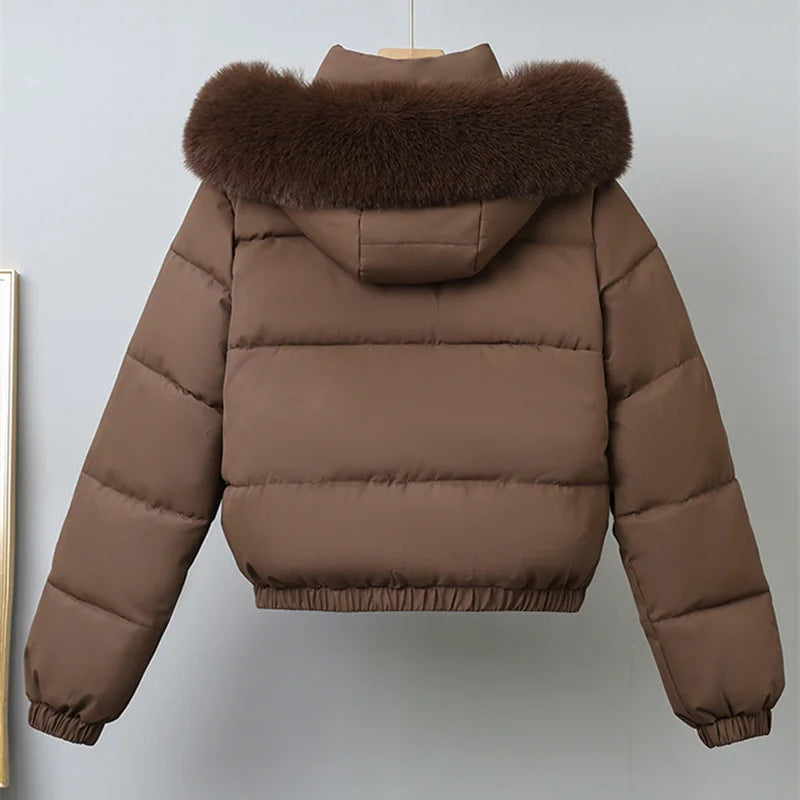 Winter Short Parkas Women's Cotton-padded Clothes Add Velvet Thicken Outerwear Fur Collar Removable Hooded Coats Warm Jackets
