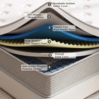 Twin XL Mattress, 12 Inch Twin XL Mattress in a Box Hybrid Design for Cooling Sleep Pressure Relief Supportive Fiberglass Free