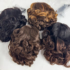 250% Density  5x5 Lace Closure Wig Short Loose Bouncy  Wig 100% Human Hair Loose Bouncy Human Hair Wig For Black Women
