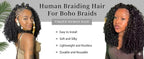 Human Hair Bulk Boho Braids Burmese Curly Bundles Human Hair Bulks For Bohemian Knotless Braiding Virgin Crochet Hair Extensions