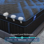 14Inch Twin Full Queen King Mattress in A Box, Hybrid Memory Mattresses Euro Top Medium Firm for Back & Lumbar Support