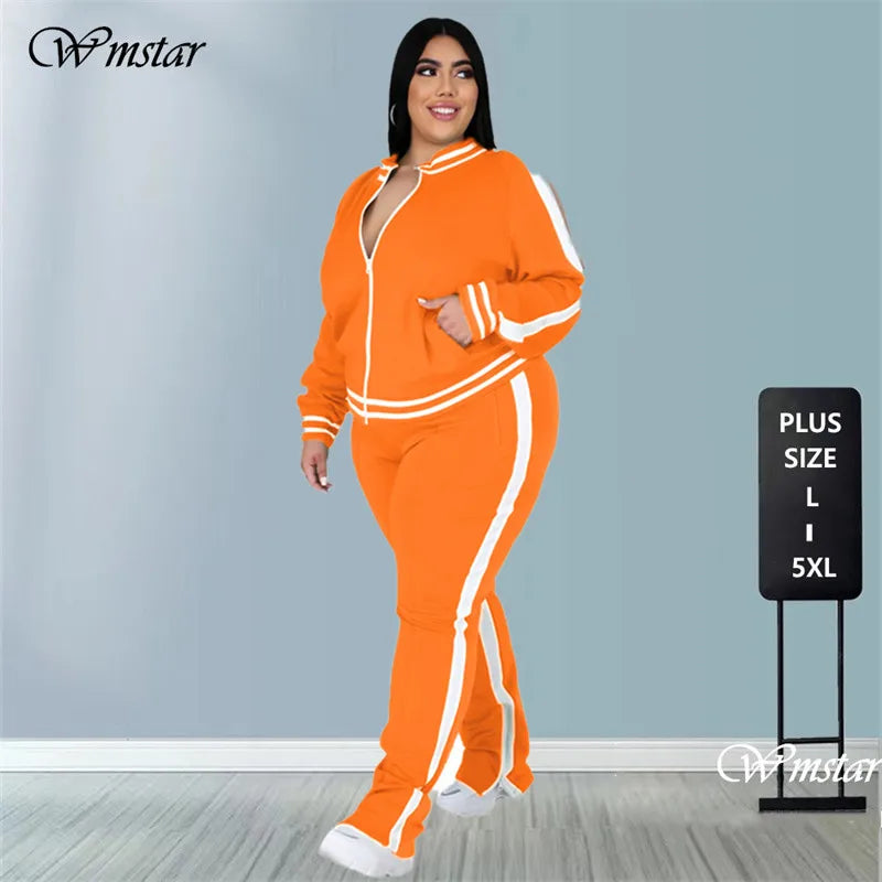 Plus Size L-5XL Two Piece Set Women Sweatsuit Zip Striped Top Slit Sweatpants Jogger Outfit Matching Set Wholesale Dropshipping Main image