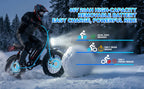 20 Inch Wild Beast Ebike,Certified UL2849 45° Climbing Adjustable Front Brake Seat Factory Original Free Local Shipping