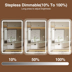 LED Bathroom Mirror Cabinet 3-Tier Storage Detachable Shelves Color Dimmable Defogging Wall Mounted Cabinet Bathroom Furniture