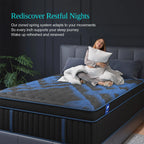 14Inch Twin Full Queen King Mattress in A Box, Hybrid Memory Mattresses Euro Top Medium Firm for Back & Lumbar Support