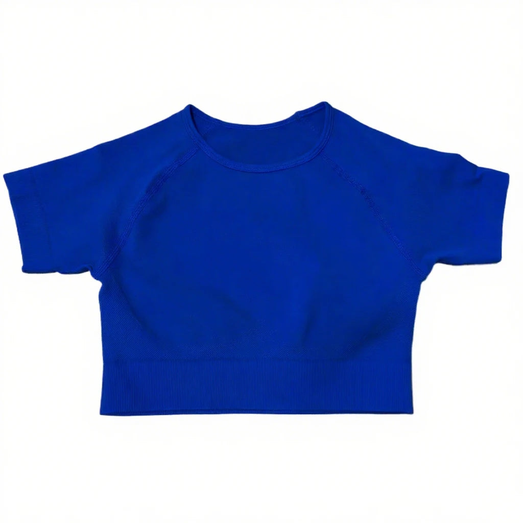 Gym Top for Women Short Sleeve Yoga Crop Top Ribbed Sports T Shirts Clothes Fitness Seamless Workout Tee Sports Tops Activewear