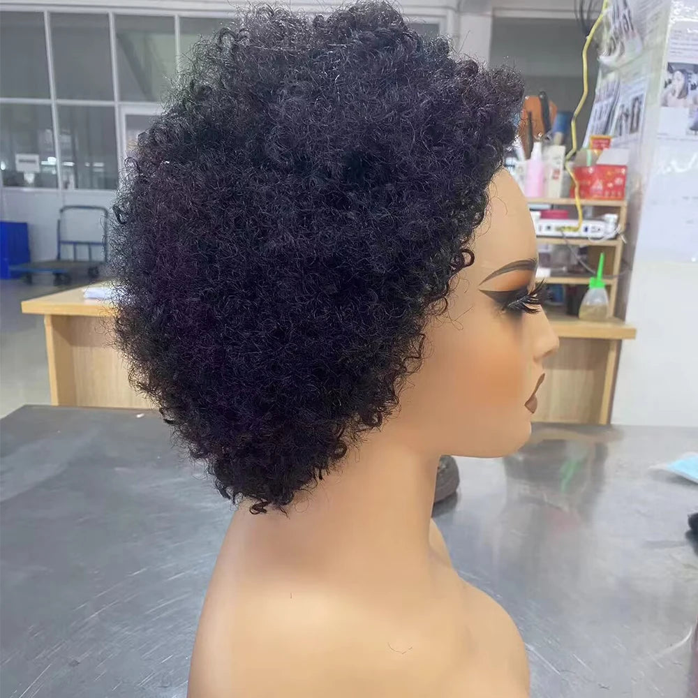 Glueless Wigs Ready To Wear Go Pixie Cut Wigs Short Kinky Curly Human Hair Wigs Slide Part Brazilian Jerry Curl 4x4 Closure Wigs Secondary image