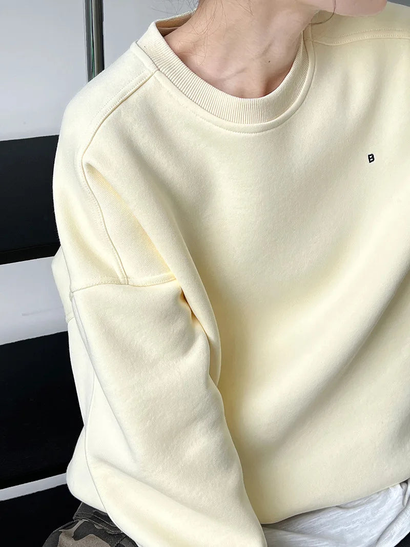 Autumn New Casual Loose Solid Hoodie Women's Embroidered Long Sleeve Top With Velvet