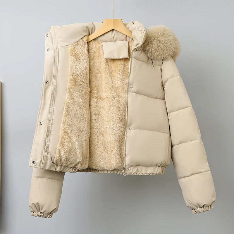 Winter Short Parkas Women's Cotton-padded Clothes Add Velvet Thicken Outerwear Fur Collar Removable Hooded Coats Warm Jackets Main image