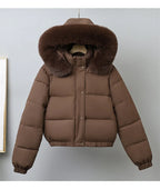 Winter Short Parkas Women's Cotton-padded Clothes Add Velvet Thicken Outerwear Fur Collar Removable Hooded Coats Warm Jackets