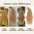 Honey Blonde Feather Crochet Human Hair Extensions Curly Invisible Miracle Knots Pre-Separated Crochet Hair for Women