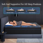 14Inch Twin Full Queen King Mattress in A Box, Hybrid Memory Mattresses Euro Top Medium Firm for Back & Lumbar Support