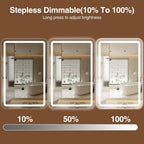 LED Bathroom Mirror Cabinet 3-Tier Storage Detachable Shelves Color Dimmable Defogging Wall Mounted Cabinet Bathroom Furniture