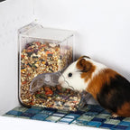 Pet Hamster Rabbit Squirrel Food Dispenser Feeder Plastic Clear Automatic Pet Feeder for Hamster Guinea Pigs Food Bowl Container